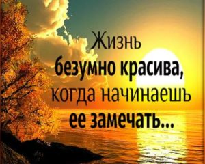 о полезном