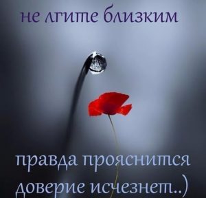о полезном